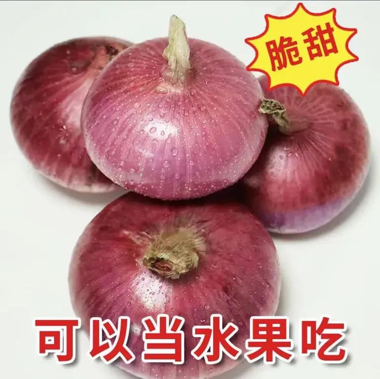 新鲜现挖紫皮洋葱可炒菜凉拌的时令蔬菜