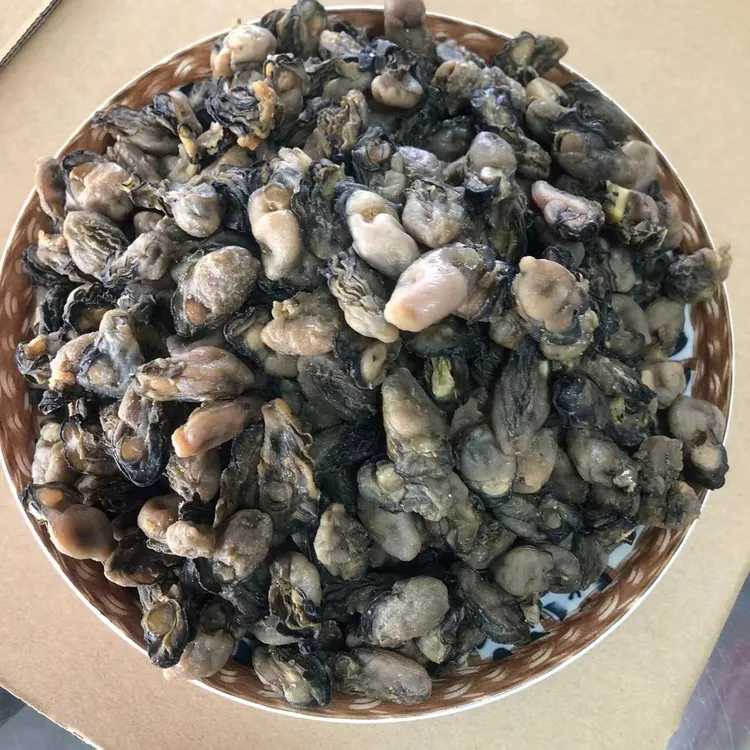 福建新货海蛎干 500g特产杜蛎海鲜干货牡蛎生蚝干珍珠石头原味
