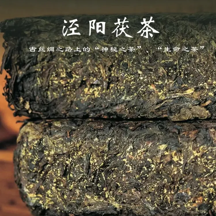 老品牌泾阳茯茶醇香陕西特产源文茗榀®️黑茶陕西正宗泾阳金花茯茶