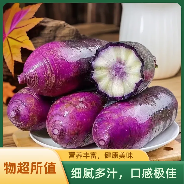 天津冰淇淋本地沙窝蔬菜萝卜（冰激凌蔬菜萝卜）（净重5-8斤）