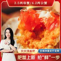 「琳嗒妈妈【活蟹】大闸蟹母蟹单只 3.5 公蟹单只 4.2两 共8只 」螃蟹