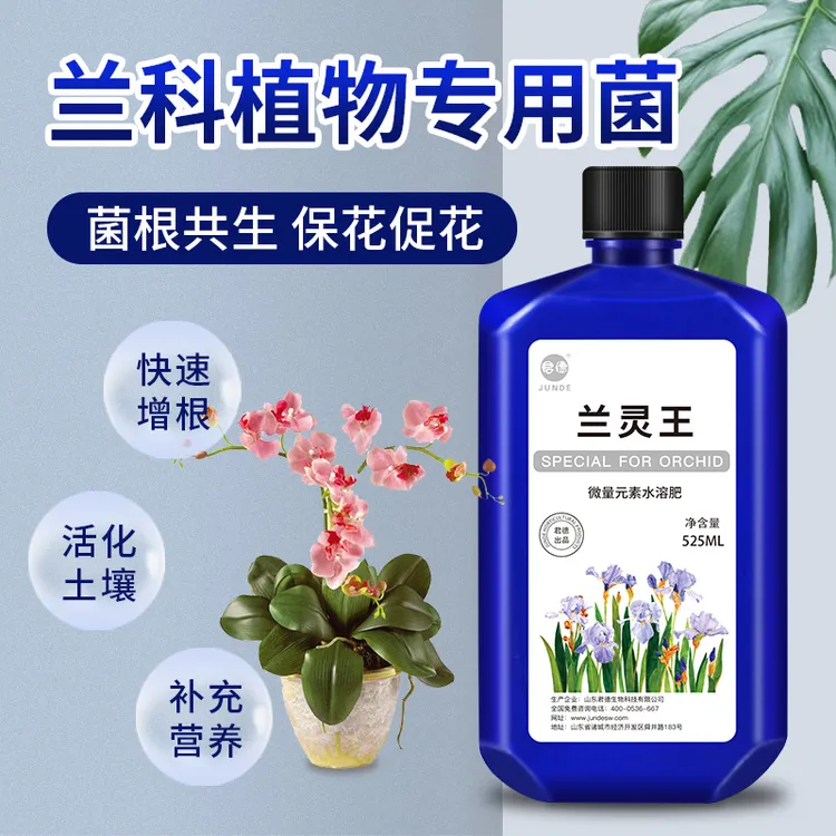 JUNDE/君德正品兰灵王兰花专用营养液君子兰蝴蝶兰石斛促花促植物商品图