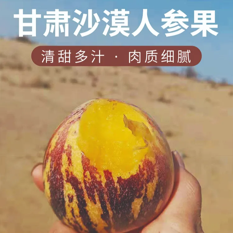 甘肃民勤沙漠变绿洲十个勤天助农人参果4.5斤黄肉长果低糖人生果
