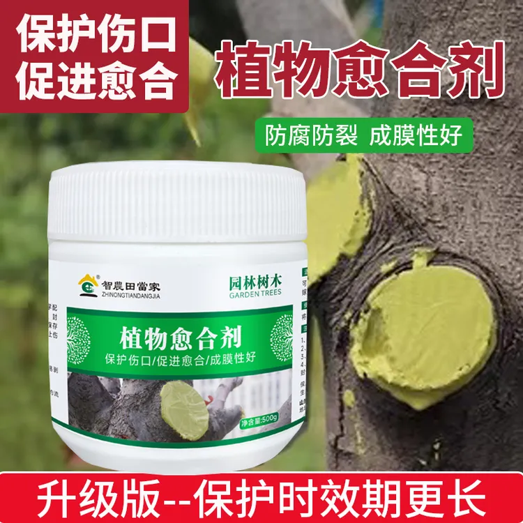 植物伤口愈合剂果树伤口树皮封口修复涂膜树枝嫁接树干大树涂抹剂