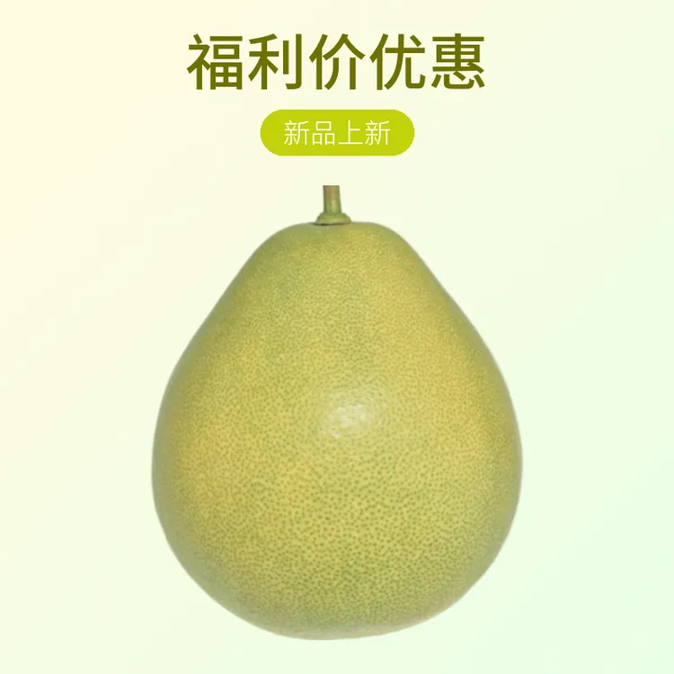 杨大姐*小果*冰糖柚