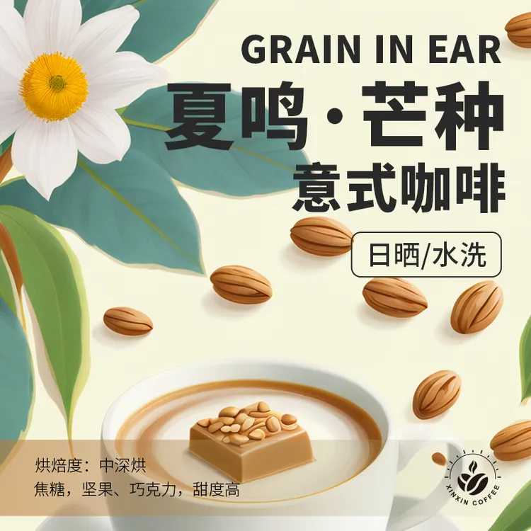 【8号咖啡】夏鸣·芒种 手冲咖啡豆意式香浓日晒中深烘焙拼配豆454g