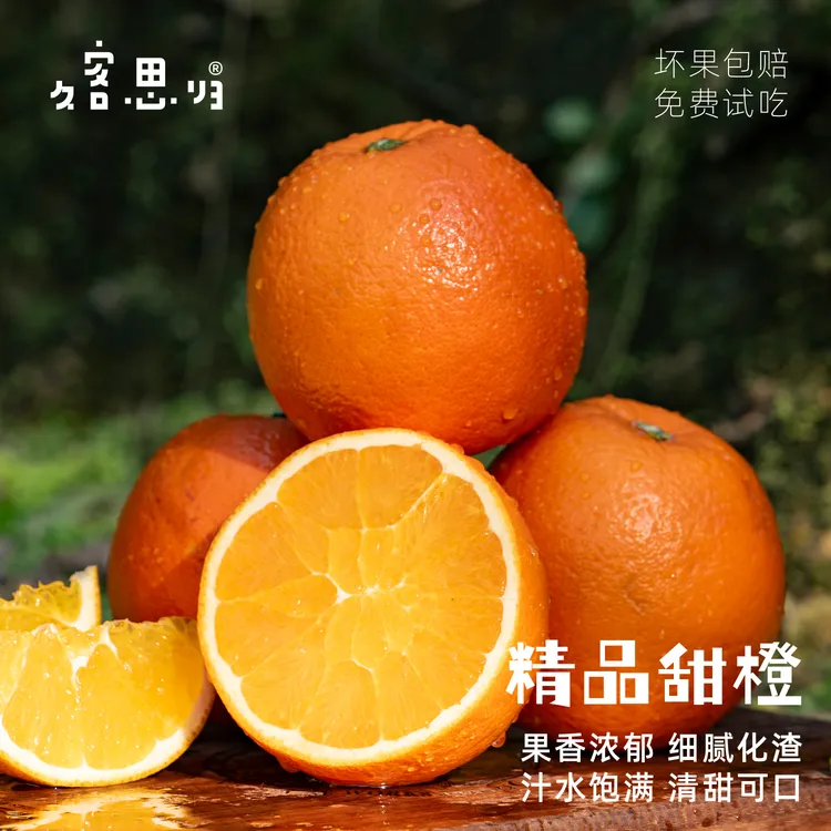 辰溪脐橙 香甜多汁细腻化渣皮薄肉嫩湖南怀化纽荷尔 4.8/8.8斤