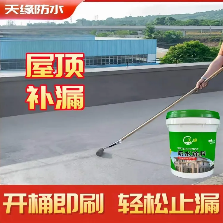 天缘【2号】雨季屋顶楼顶裂缝补漏修复抗冻耐晒屋顶专用防水涂料