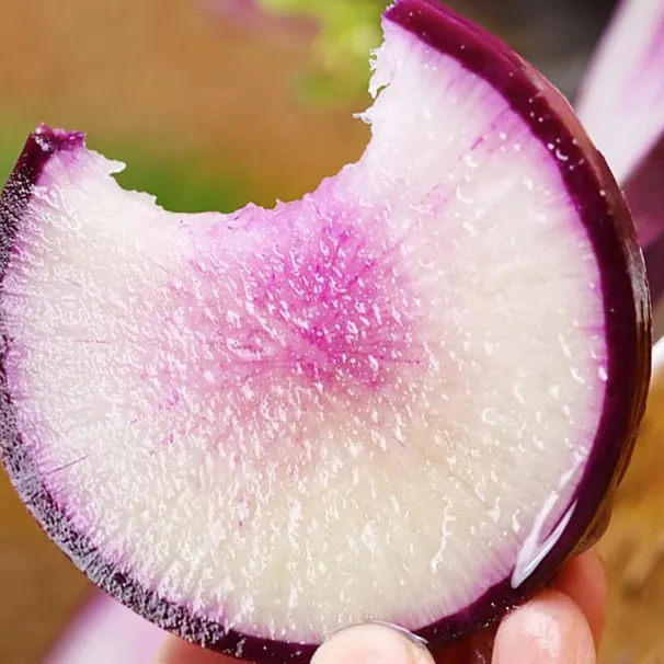 纯甜不辣】冰激凌水果萝卜生吃脆甜多汁山东潍坊冰糖心原产地直发