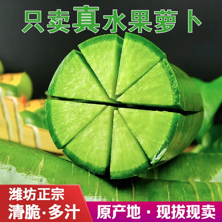山东潍坊水果萝卜后庞品种生吃甜脆水分大微辣原产地现拔现发
