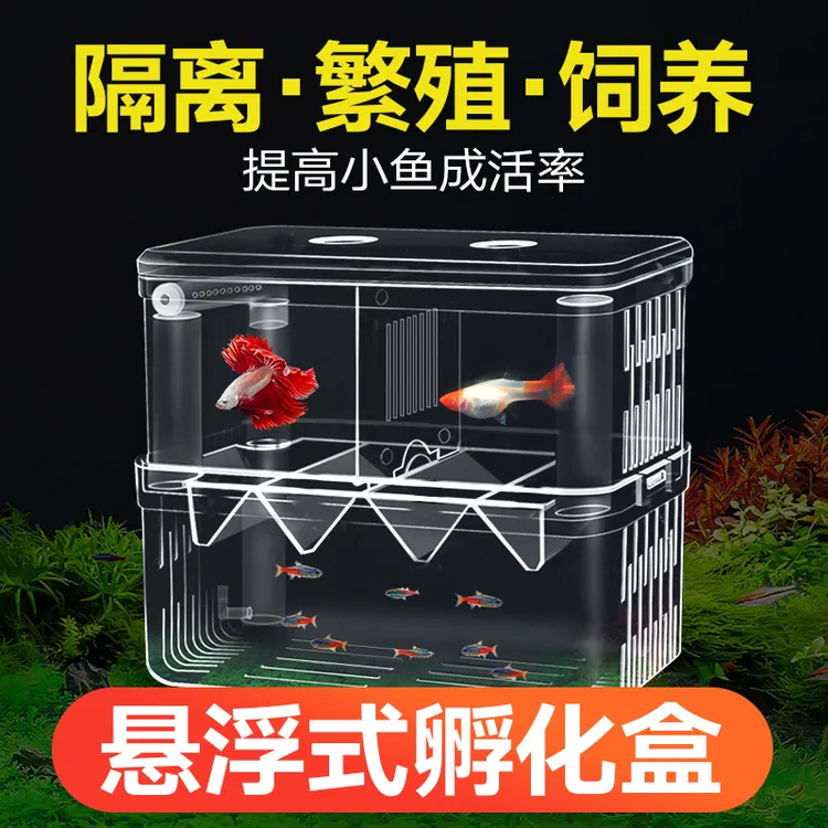 鱼缸隔离盒孔雀鱼繁殖盒孵化盒斗鱼热带鱼小鱼幼鱼特大号产房
