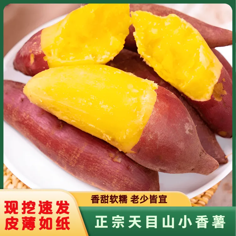 【熬粥可用】天目山小香薯 新鲜现挖黄心番薯地瓜软糯香甜 粗粮代餐