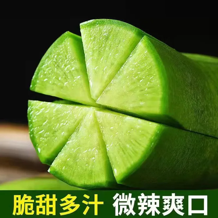 天津沙窝萝卜脆甜原产地新鲜现拔即食青萝卜9斤