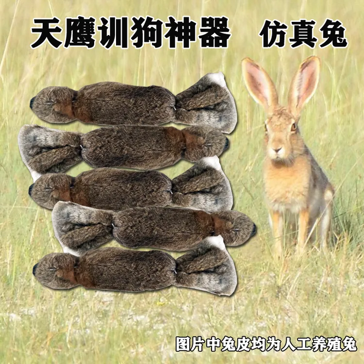 训狗训犬神器仿真兔玩具练狗假猎物PP哨兔皮训练格力格慧细犬神器
