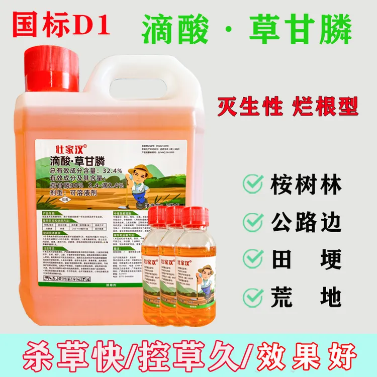 滴酸草甘膦壮家汉除恶性杂草桉树林铁芒萁茅草野葛藤田埂荒地开荒