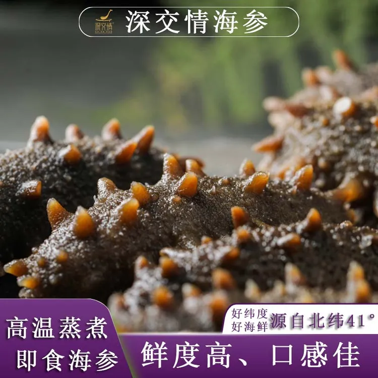 深交情高温蒸煮即食海参50-56只（单根5-8cm）厂家直销顺丰包邮
