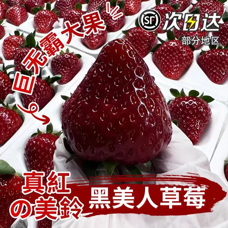 【顺丰空运】真红美玲草莓黑珍珠淡雪奶油草莓新鲜孕妇水果稀有送礼