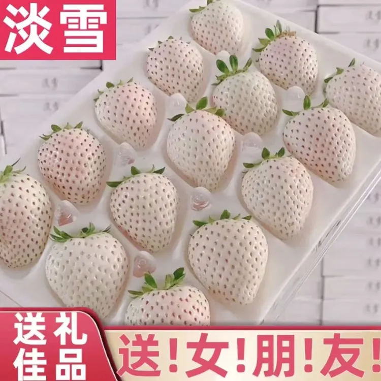 顺丰空运淡雪白草莓白雪公主白色草莓奶油草莓新鲜孕妇水果送礼