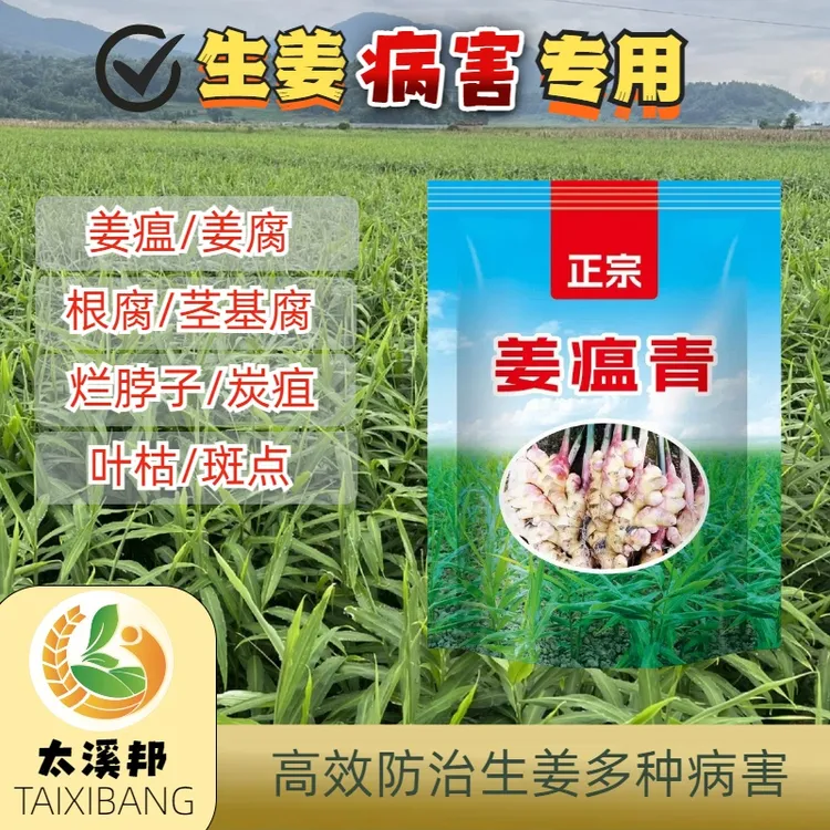 -正宗姜瘟青 生姜专用适用防治姜瘟根腐炭疽