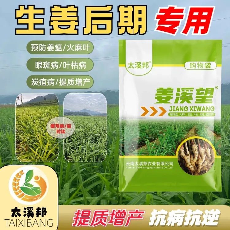 -姜溪望三颗苗后使用  提质增产 综合防治病虫害生姜专用