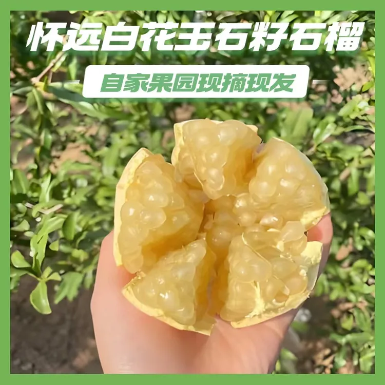 怀远白玉石籽石榴礼盒装当季时令水果新鲜甜石榴孕妇水果礼盒送礼