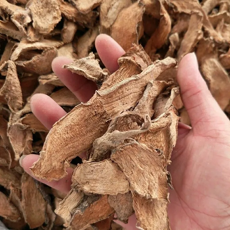 广西自家晒干的勒茨菇干250包邮