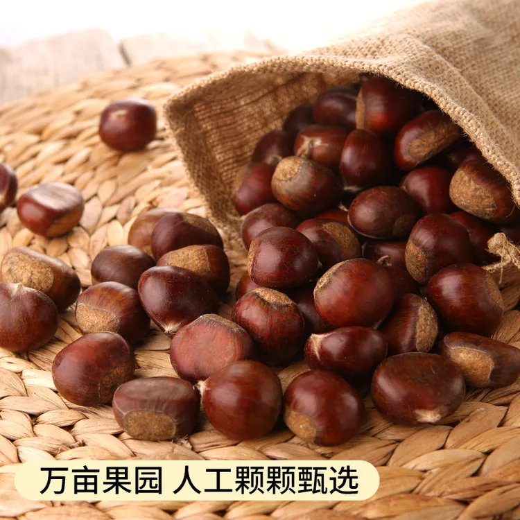 《现货先发》鲜板栗神栗2025年有机生鲜板栗