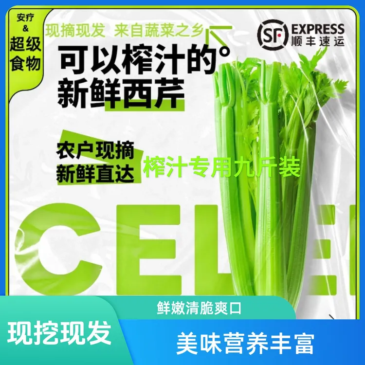 [榨汁专用9斤装]顺丰新鲜西芹农家土肥料种植榨生吃鲜嫩清脆爽口