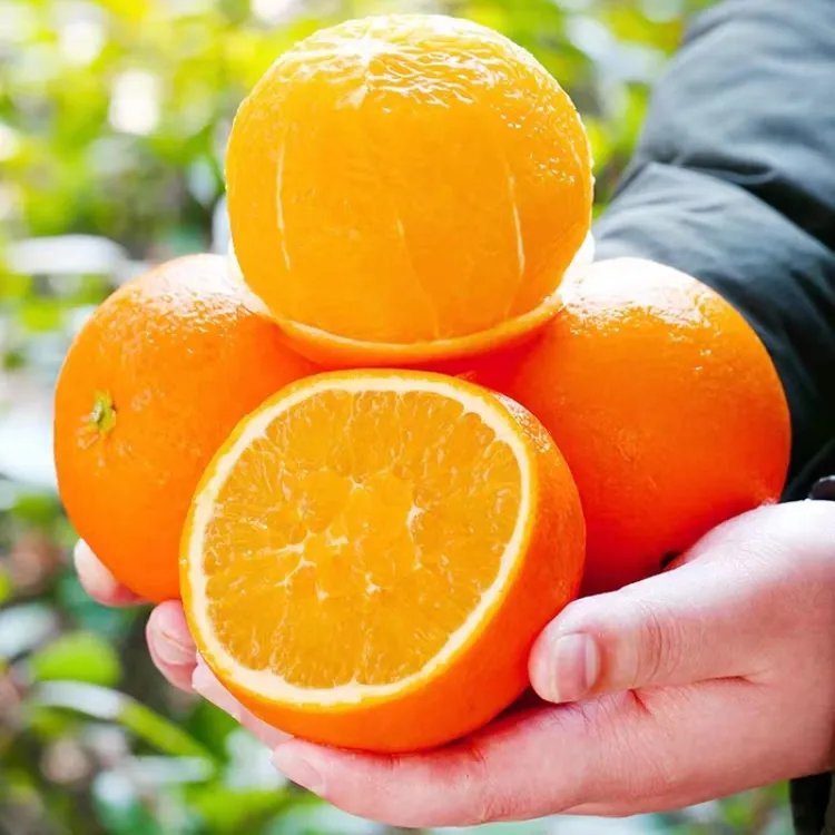 正宗重庆奉节脐橙纽荷尔现摘当季新鲜水果橙子5/10/20斤装包邮