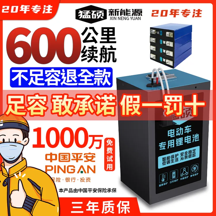 猛硕电动车锂电池48v伏二轮三轮磷酸铁锂电池骑手用锂电年终促销