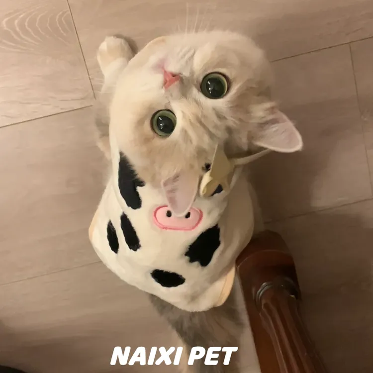薄荷同款猫咪衣服宠物小狗狗秋冬装保暖马甲背心金渐层美短奶牛服