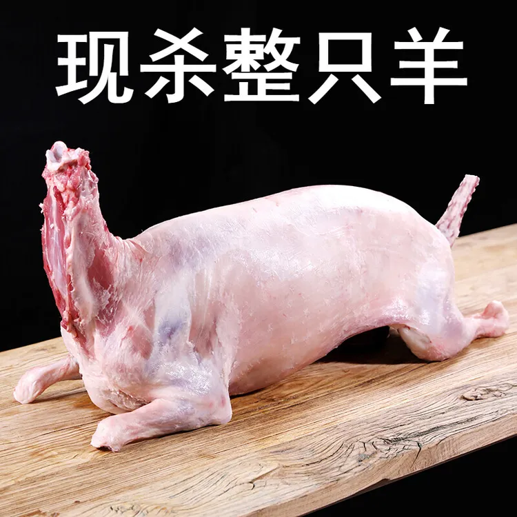 【内蒙古碱滩羊】整只羊22-40斤全羊草原新鲜生鲜整只羊全羊整只