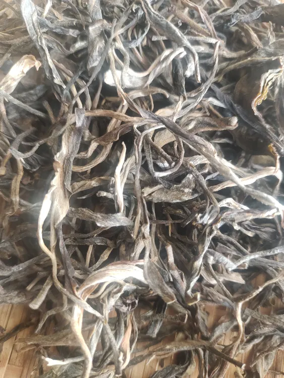 比老班章便宜8倍，给老班章很像，雷达山古树100克
