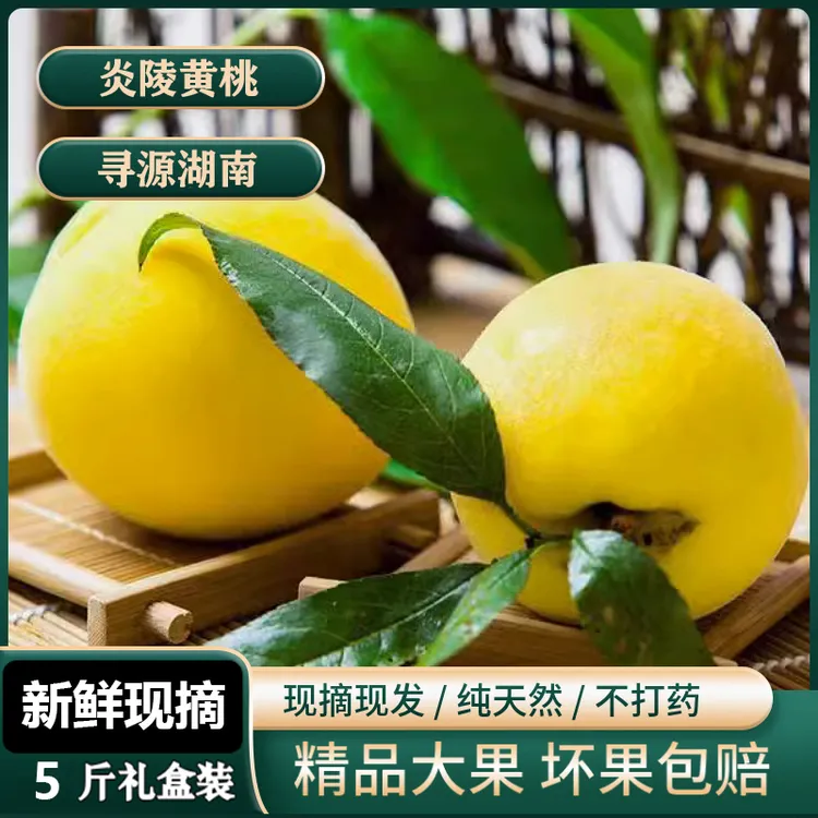 炎陵黄桃果园现摘现发香甜脆新鲜水果5斤礼盒装 正宗炎陵锦绣黄桃