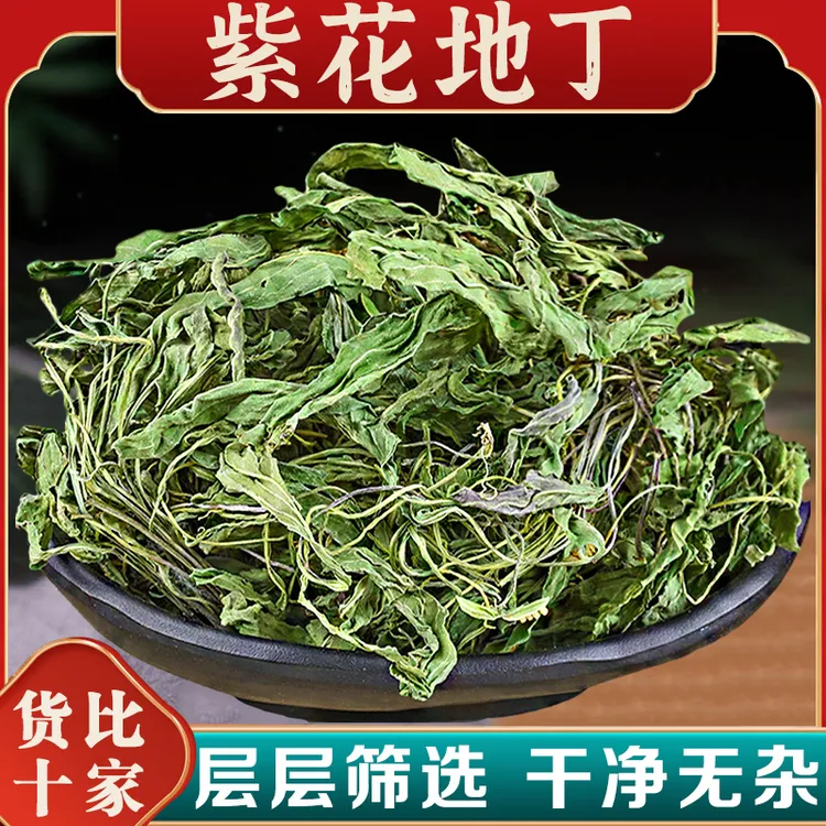 紫花地丁中药材犁头草新鲜干地丁草泡茶泡水紫花地丁草药真材实料