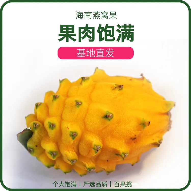 顺丰基地发货｜海南燕窝果黄心火龙果新鲜大果6粒热带水果营养多汁
