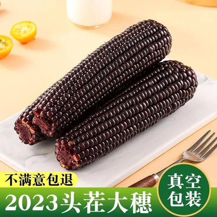 甜糯黑玉米年头茬玉米真空袋装开袋即食香甜软糯黑鲜糯玉米