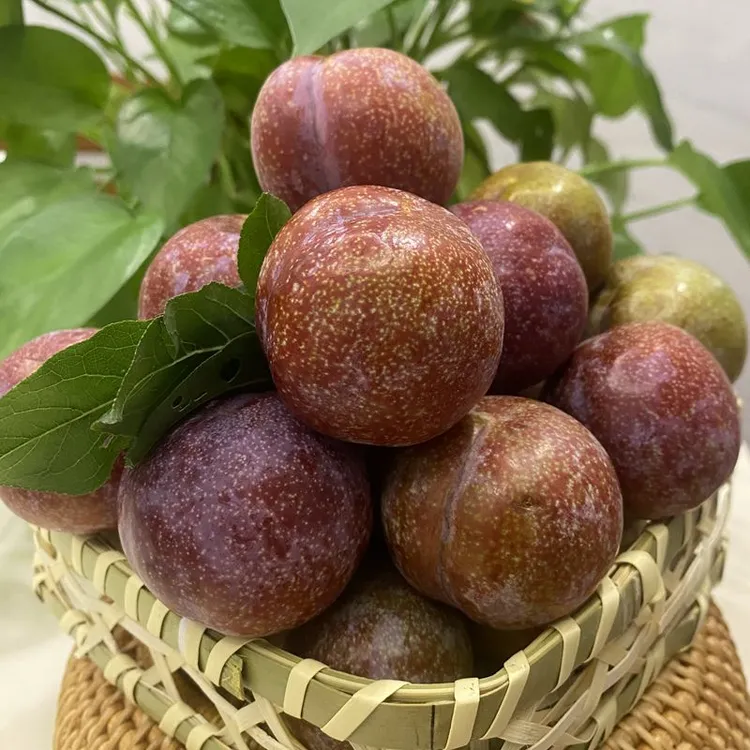 顺丰广西三华李大果新鲜水果红心酸甜现摘现发当季现货李子酸嘢
