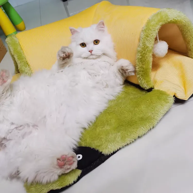 秋冬猫咪窝玩睡一体隧道逗猫玩具猫玩耍小猫窝保暖加厚冬天猫房子