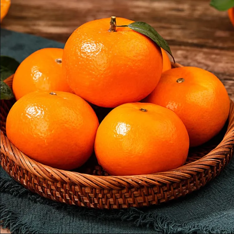 广西武鸣沃柑新鲜现摘多汁