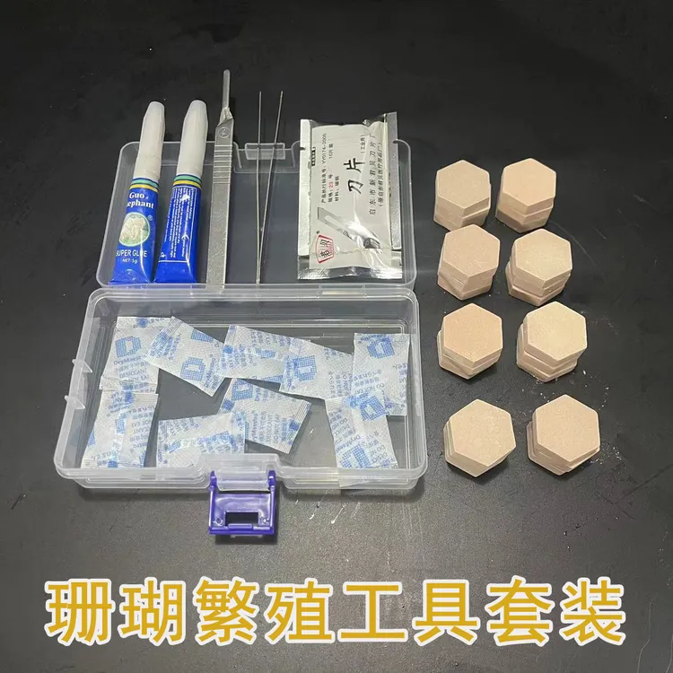 珊瑚繁殖工具盒套装不锈钢刀片胶水基座组合
