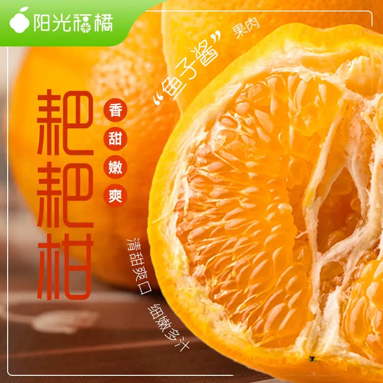 2023年新鲜上市粑粑柑的四川眉山柑橘正宗春见耙耙柑香甜清甜多汁