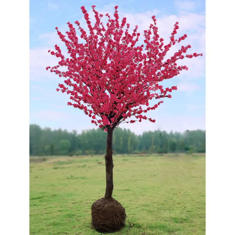 红梅花树苗盆栽老桩庭院耐寒冬季开花卉植物浓香原生高杆骨里红梅