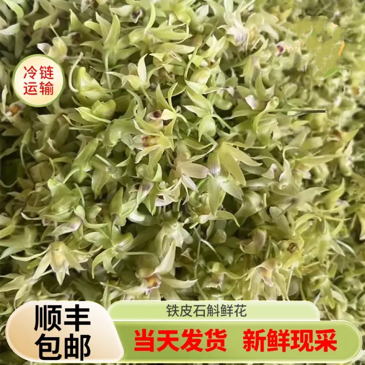 顺丰包邮铁皮石斛云南鲜花新鲜现采食用铁皮枫斗新花正宗基地直发