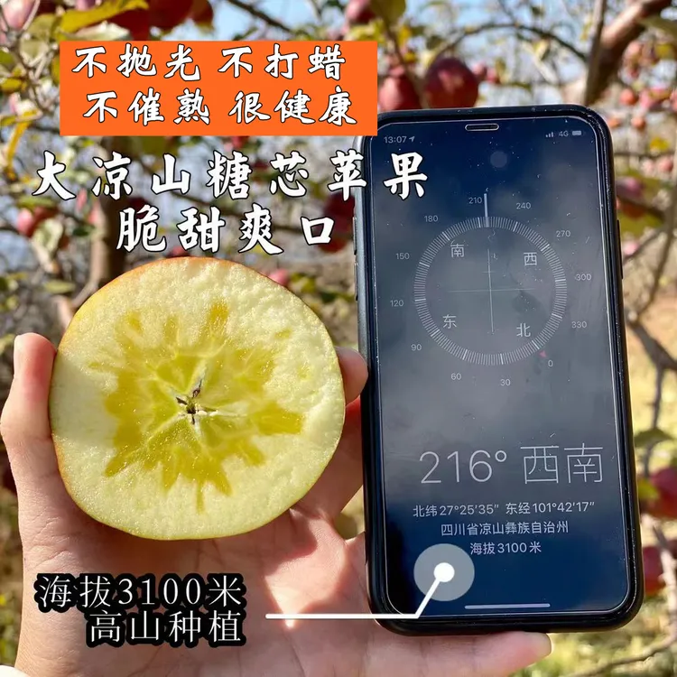 （京东快递送货到家）正宗大凉山糖心丑苹果 保糖心率 5斤/8斤净重