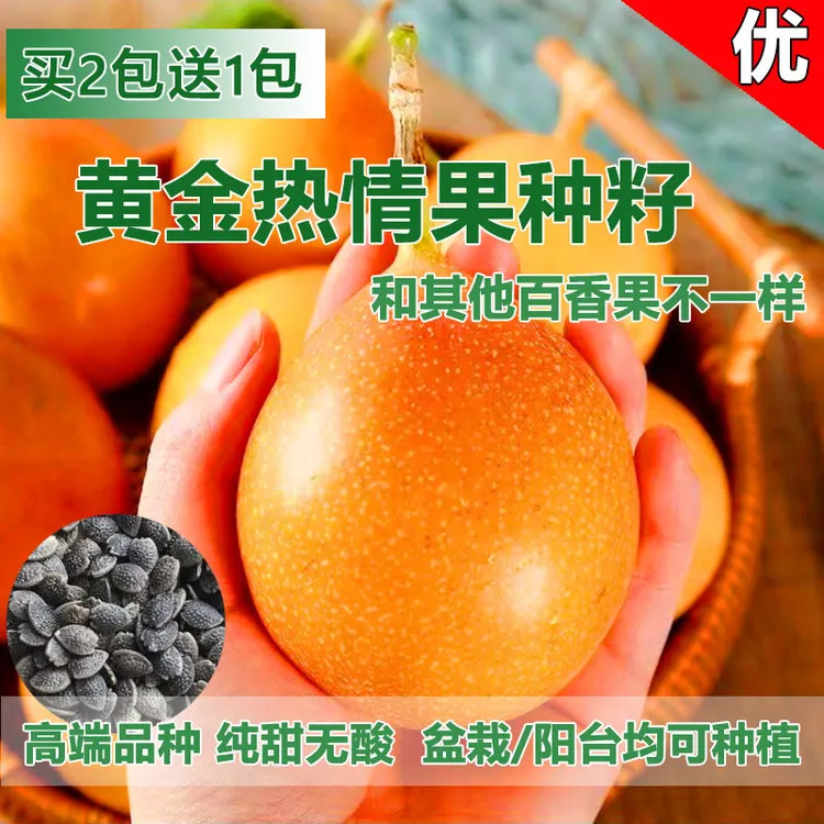 【精选黄金热情果种籽】四季播种阳台小院盆栽地栽种植简单高产水果