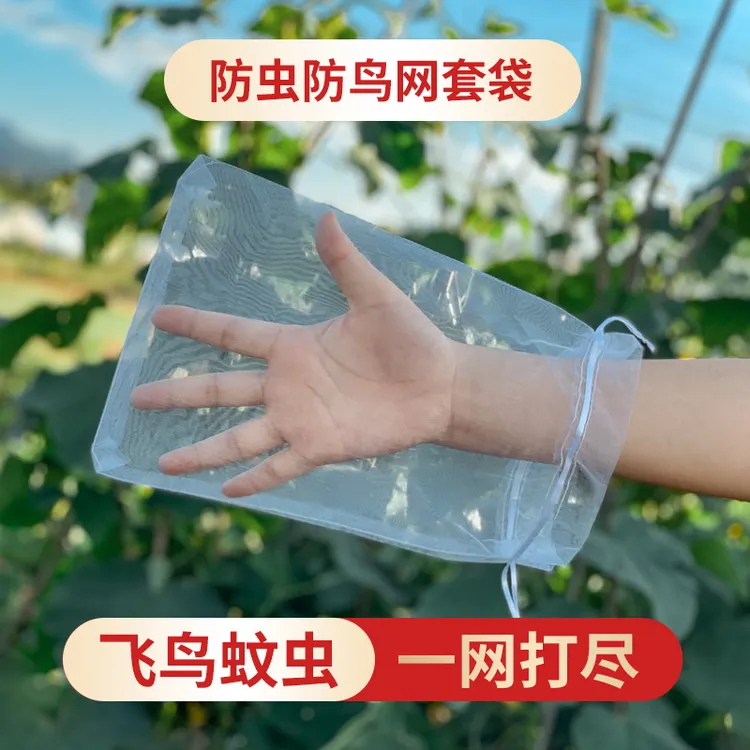防虫网袋果树防鸟用网草莓防果蝇纱网葡萄套袋专用无花果网罩神器