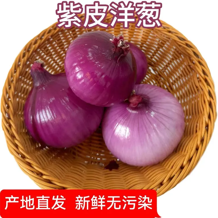 【新农人小杨推荐】河南农家现挖新鲜紫皮水果洋葱自种新鲜蔬菜