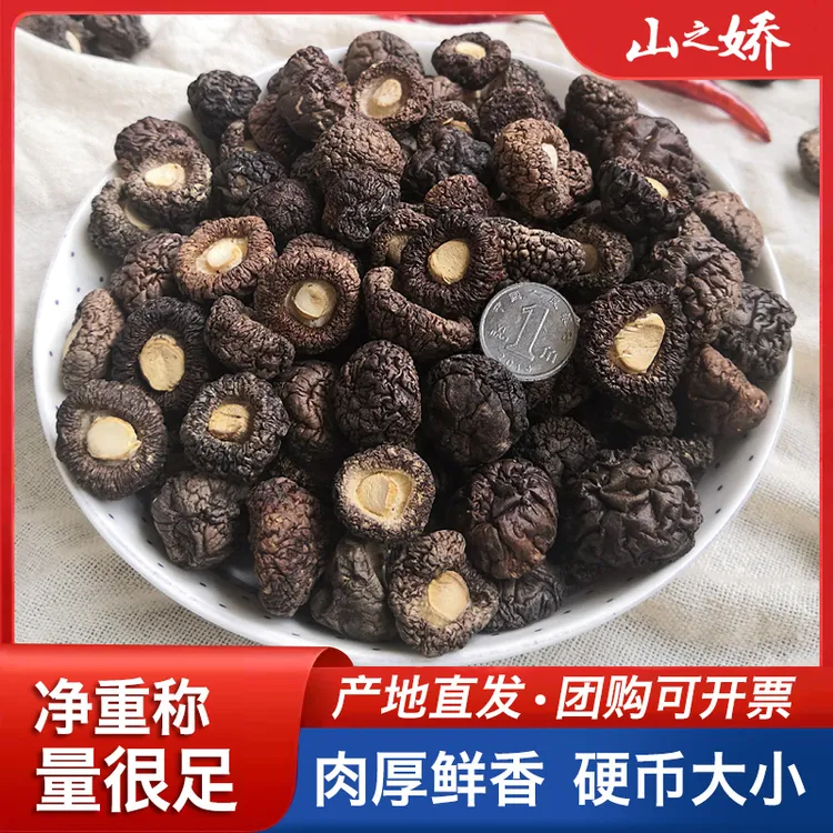 福建金钱菇小香菇干货精品新鲜食用精选大小圆润珍珠菇源头厂家