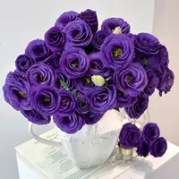 【稀有洋桔梗】 高品质丨花期长丨云南基地现采直发 家庭必备鲜切